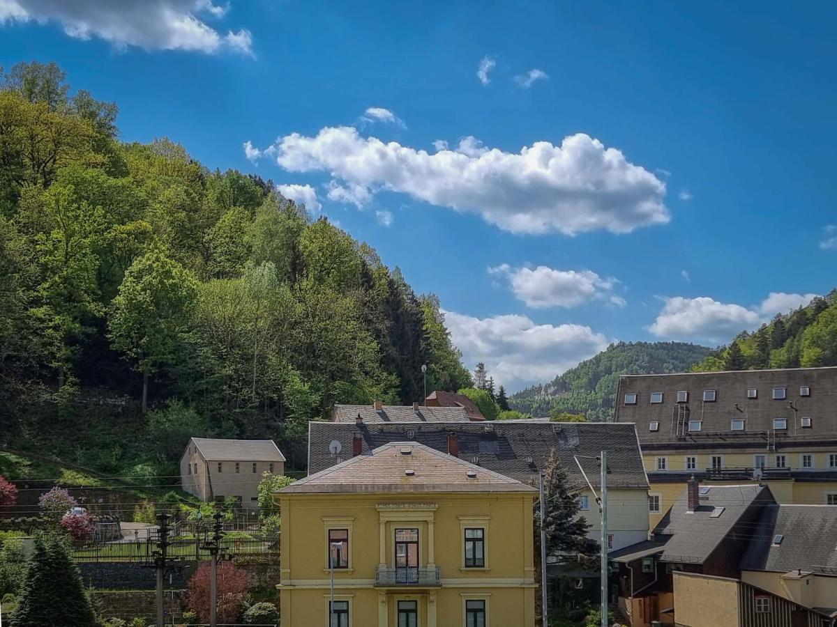 Ferienappartements Elbaussicht - Krippen Bad Schandau Esterno foto