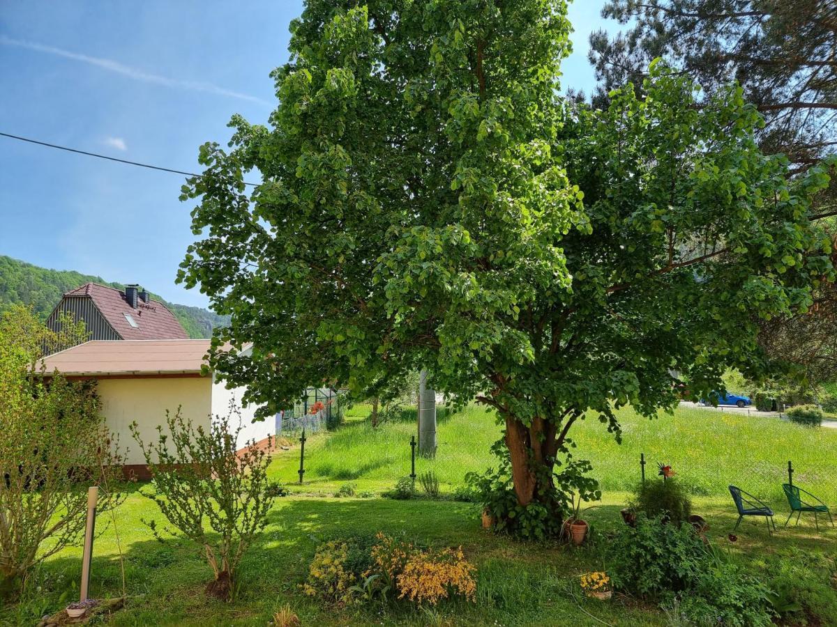 Ferienappartements Elbaussicht - Krippen Bad Schandau Esterno foto