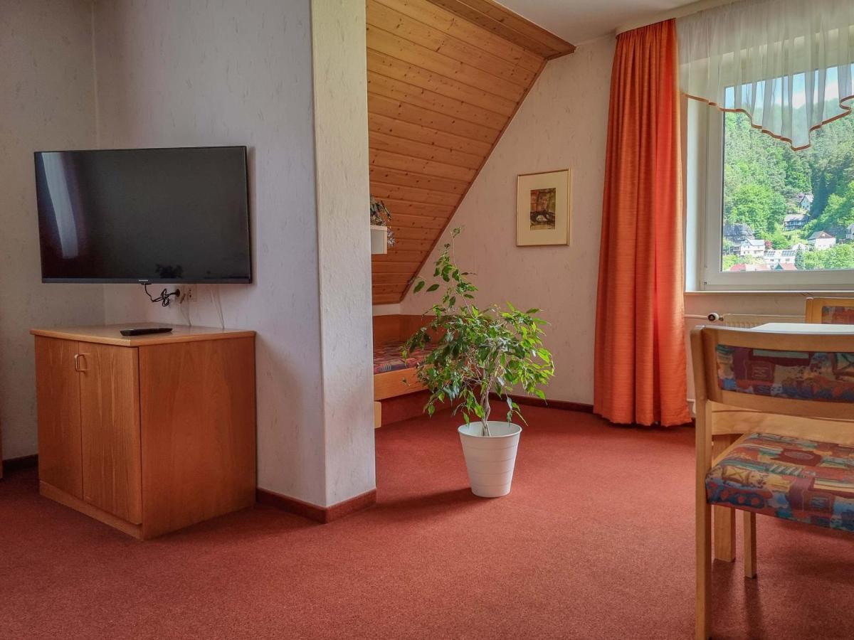 Ferienappartements Elbaussicht - Krippen Bad Schandau Esterno foto